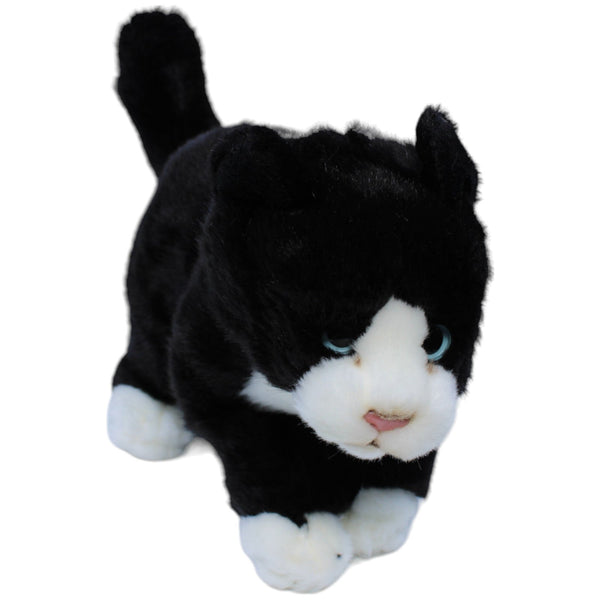 Süße schwarz-weiße Katze