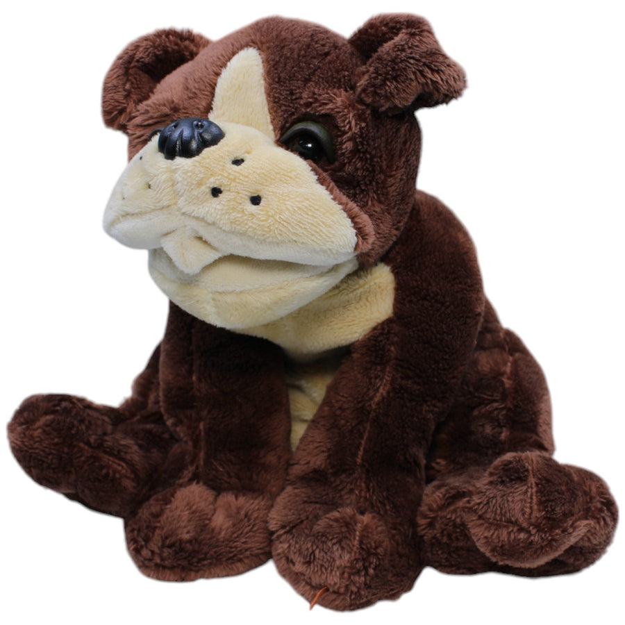 Bulldog, sitzend
