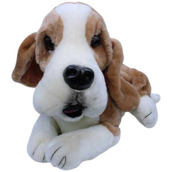 Basset Hound, liegend