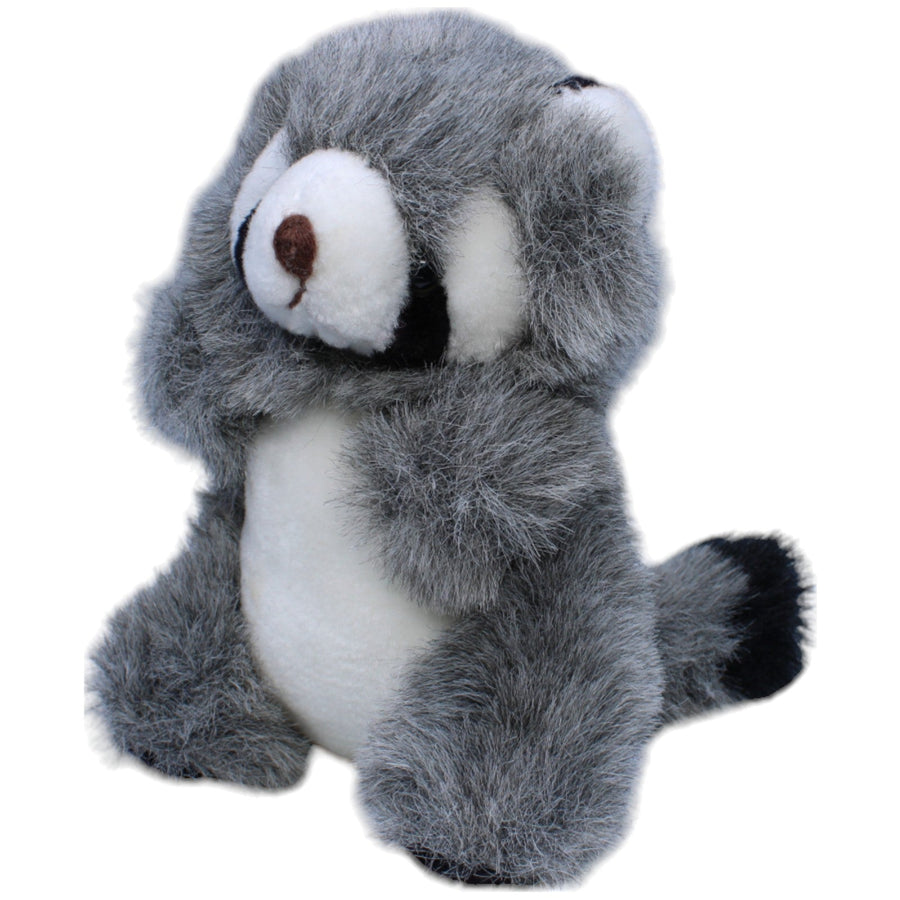 Waschbär, stehend