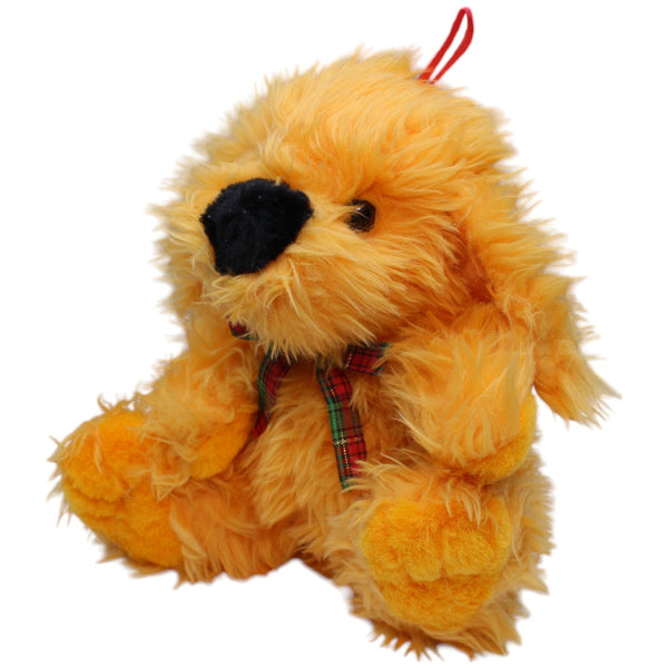 Oranger Zottel Hund, sitzend