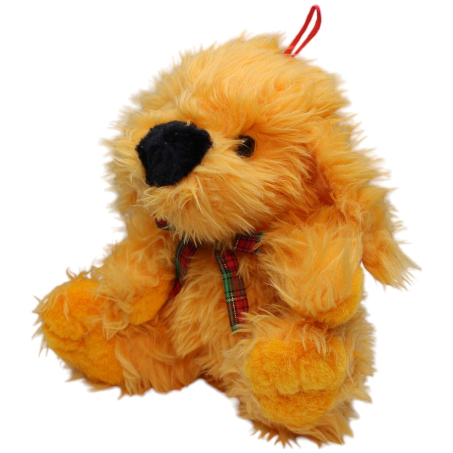 Oranger Zottel Hund, sitzend