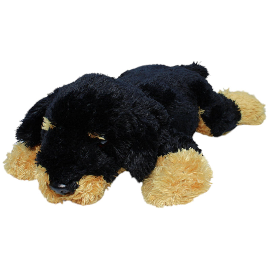 Rottweiler Welpe, liegend