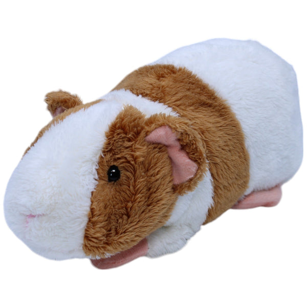 Meerschweinchen, hellbraun-weiß