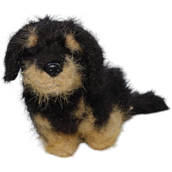 Hund, Rauhaardackel