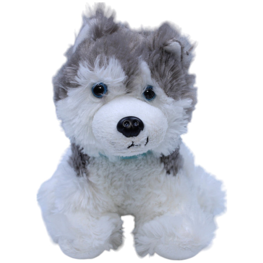 Kleiner Husky, sitzend