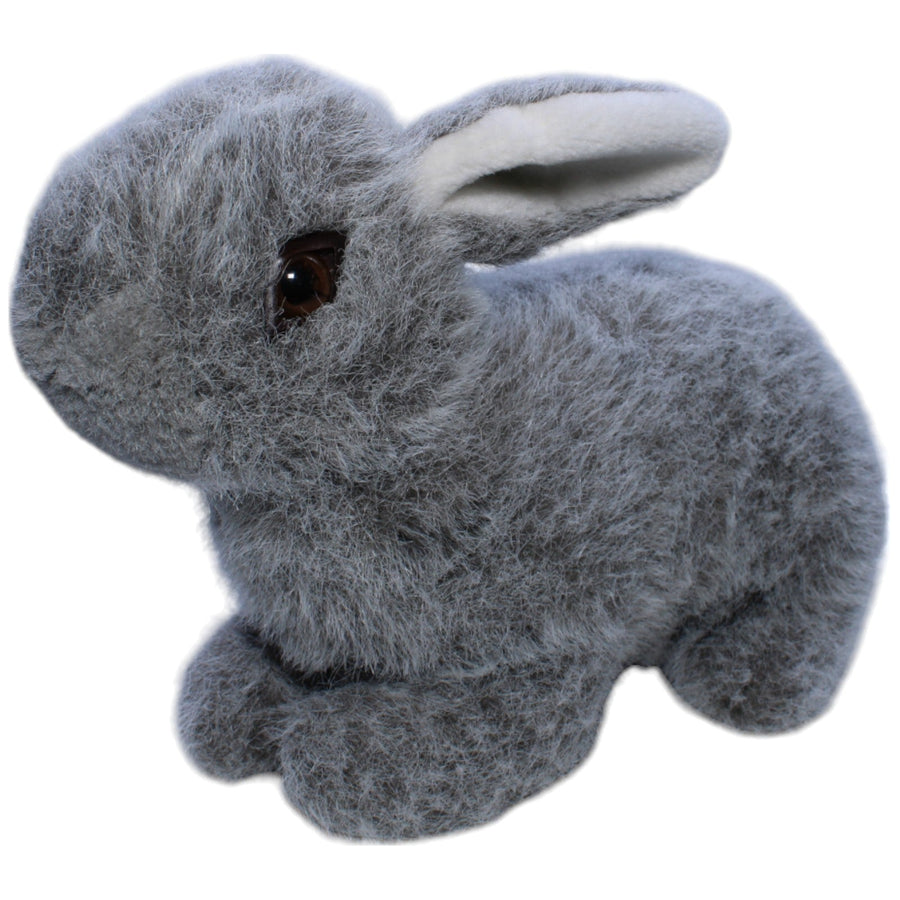 Hübscher grauer Hase