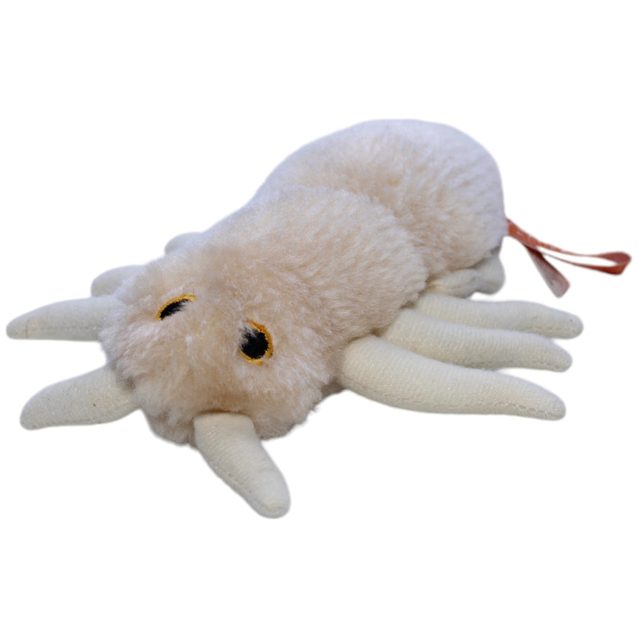 Kopflaus