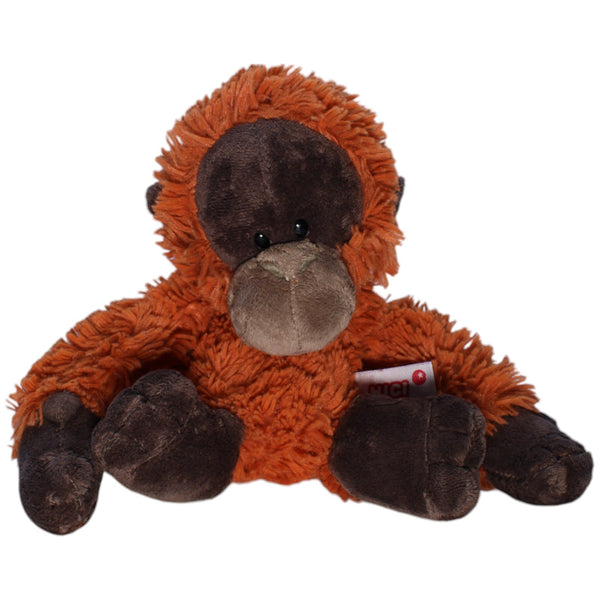 Orang Utan Kieran