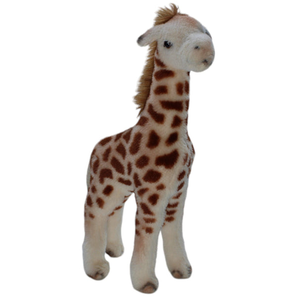 Schöne Giraffe