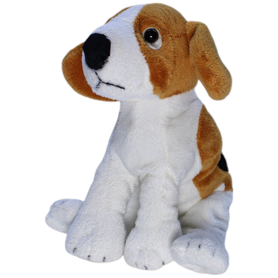 Süßer Beagle