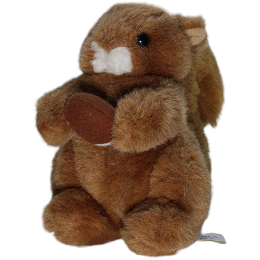 Süßes Eichhörnchen