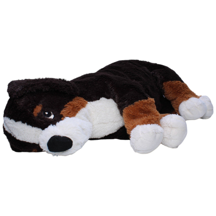 Berner Sennenhund Welpe, HOPPIG
