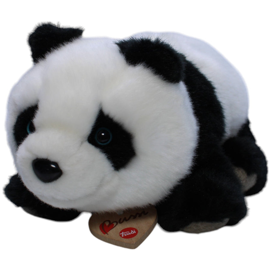 Bussi, Panda