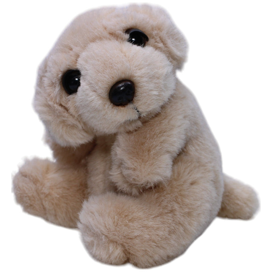 Golden Retriever Welpe, sitzend