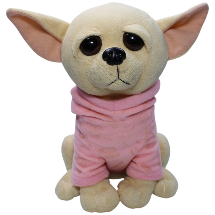 Chihuahua mit rosa Pulli