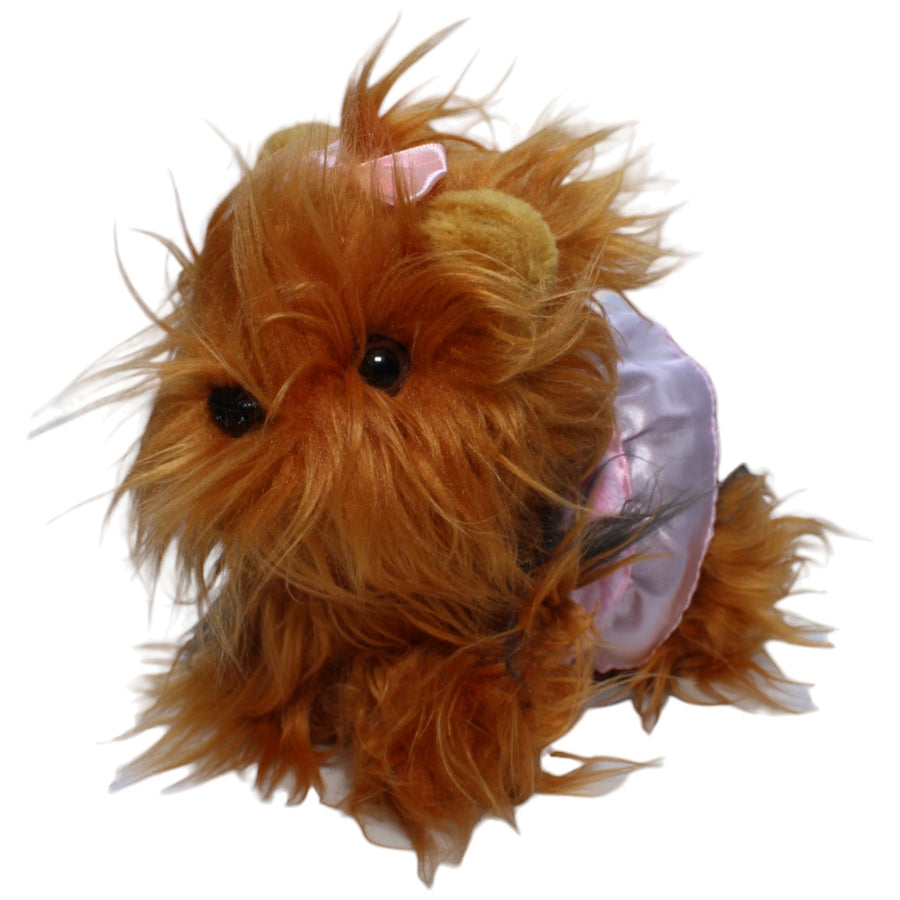 Chi Chi Love, Yorkshire Terrier