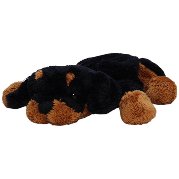 Rottweiler Welpe, liegend