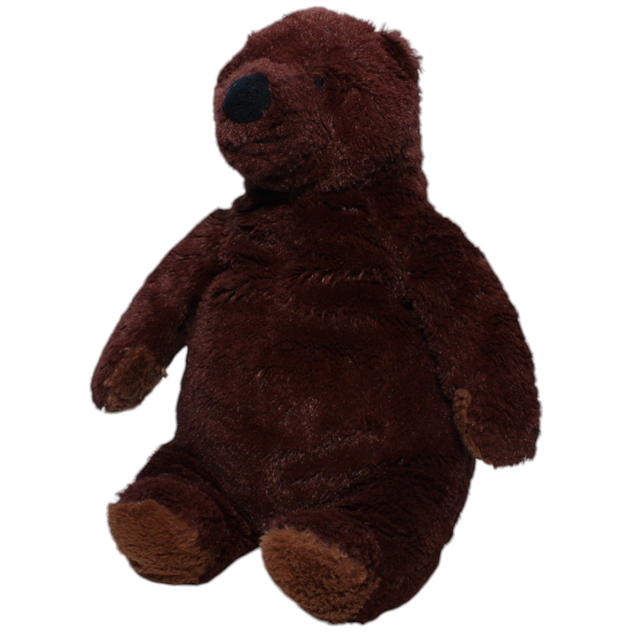 Braunbär, DJUNGELSKOG