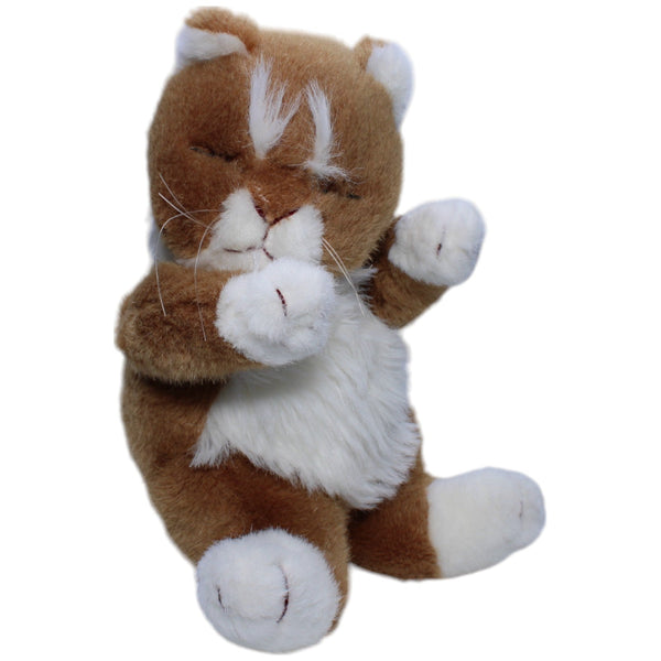 Schlafende Katze