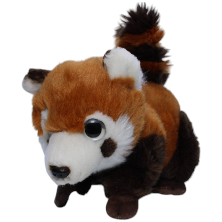Roter Panda