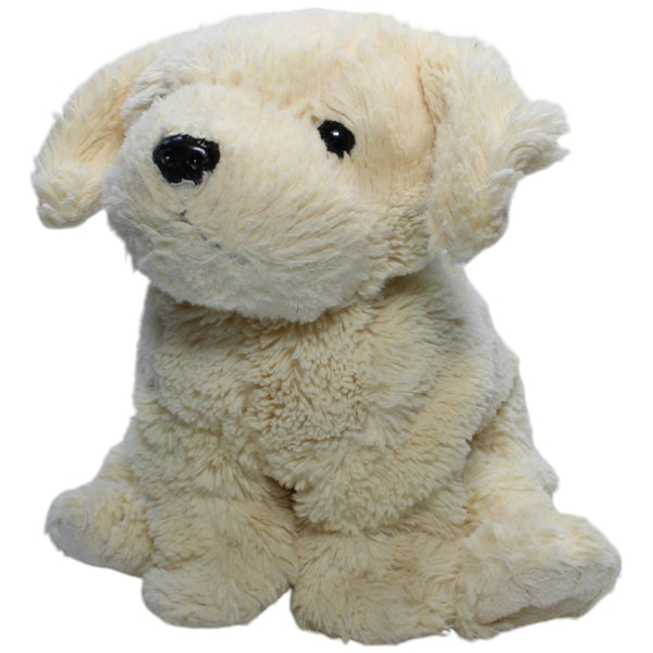 Süßer Baby Retriever
