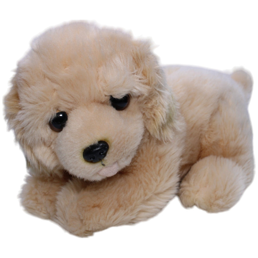 Miyoni Tots, Golden Retriever Welpe