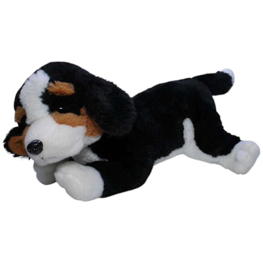 Berner Sennenhund Welpe