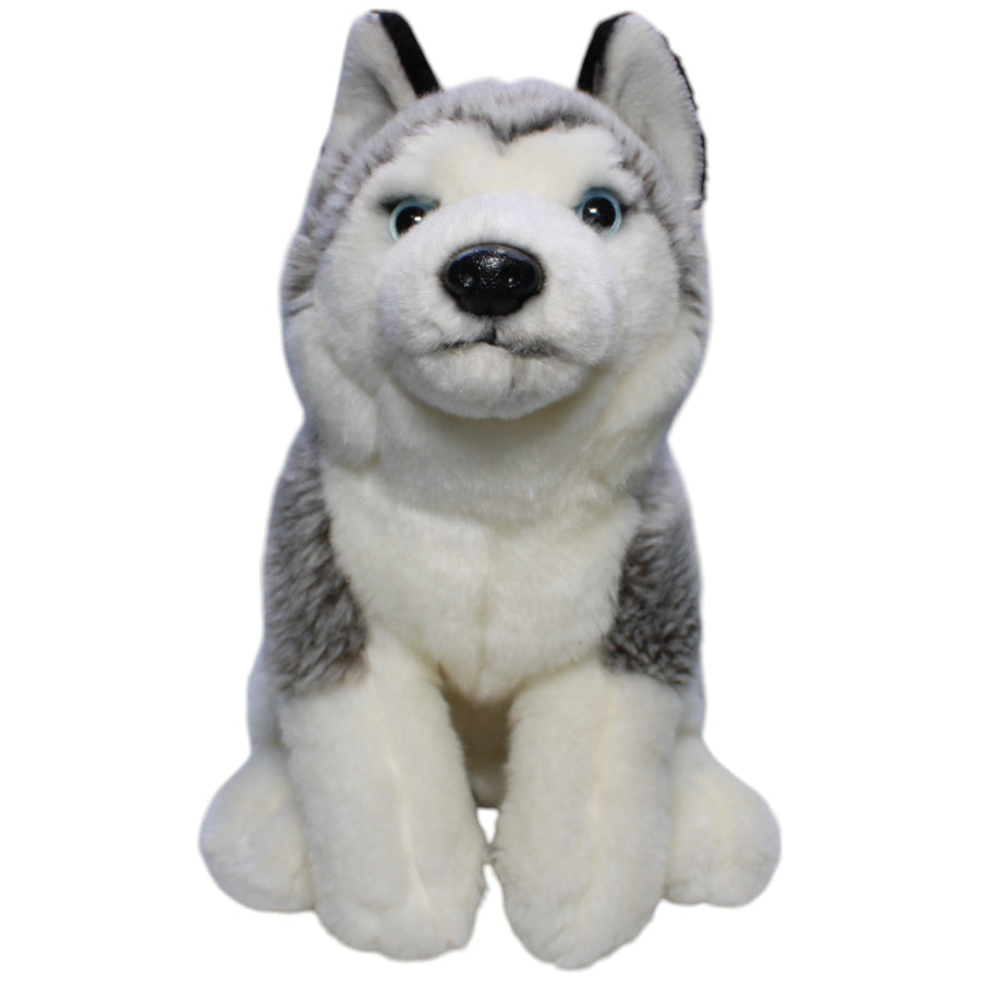 Husky, sitzend