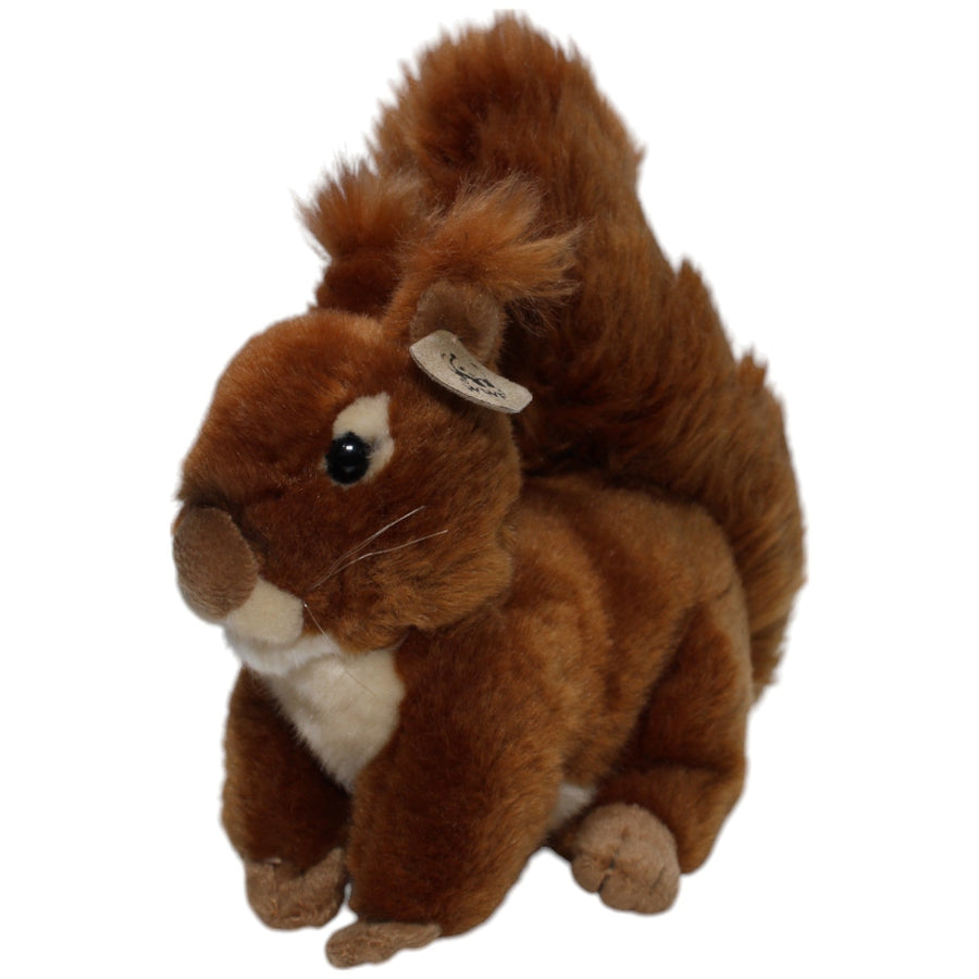 Eichhörnchen