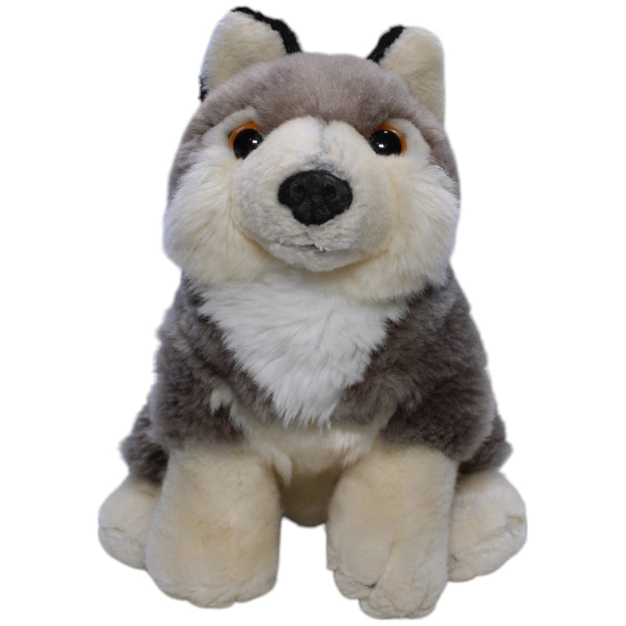 Grauwolf, sitzend