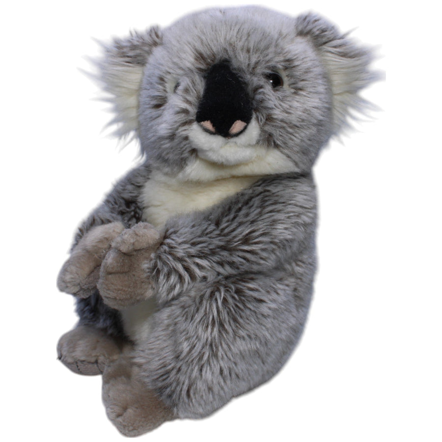 National Geographic, Koala