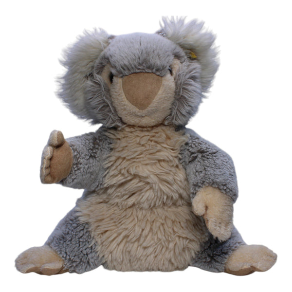Großer Koala