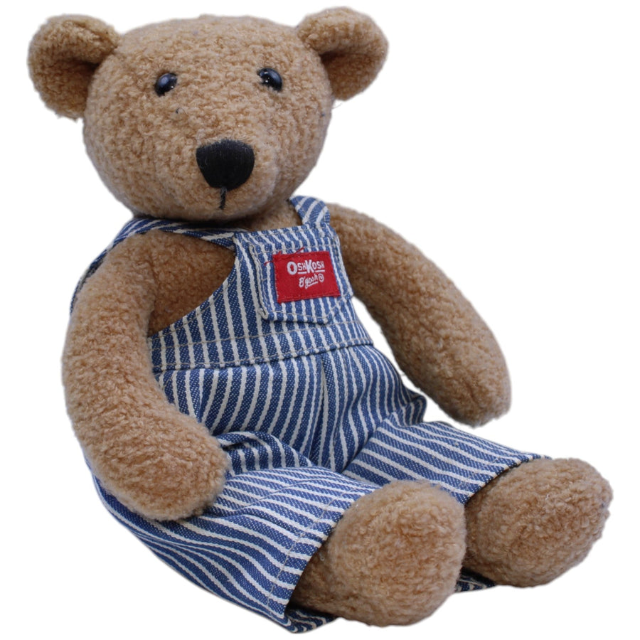 Süßer Teddybär mit Latzhose