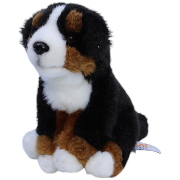 Berner Sennenhund, sitzend