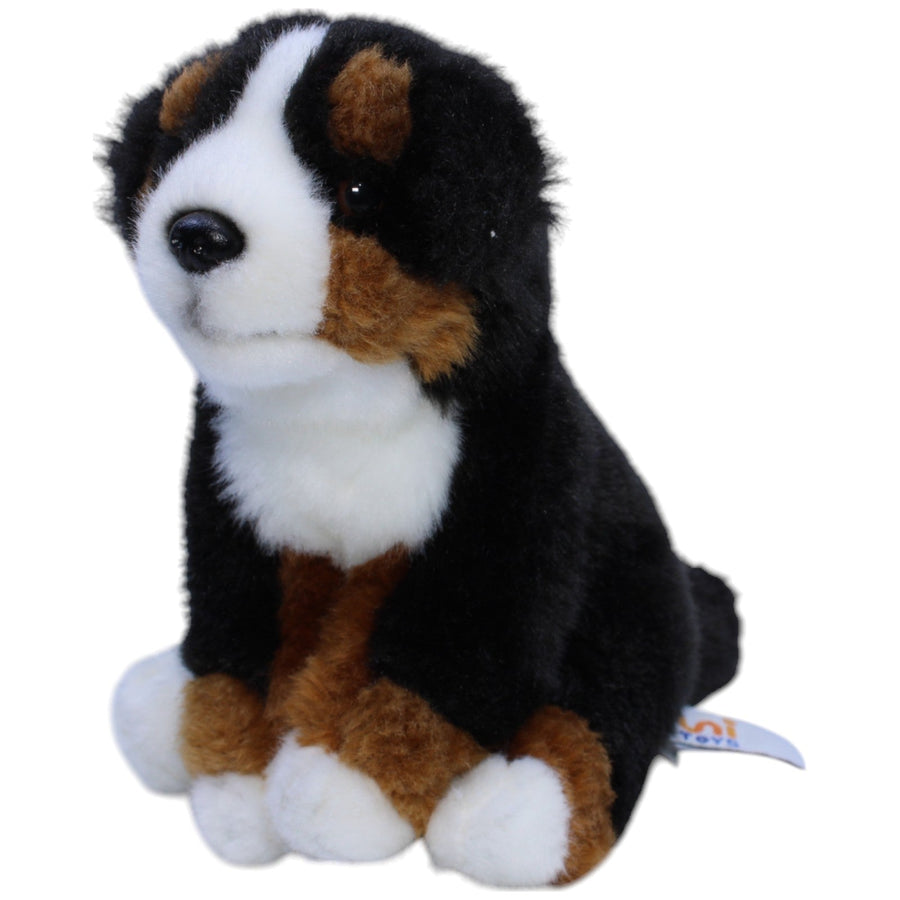 Berner Sennenhund, sitzend