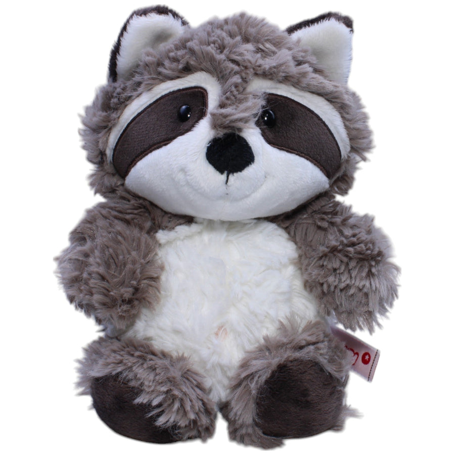 Waschbär Rod, sitzend