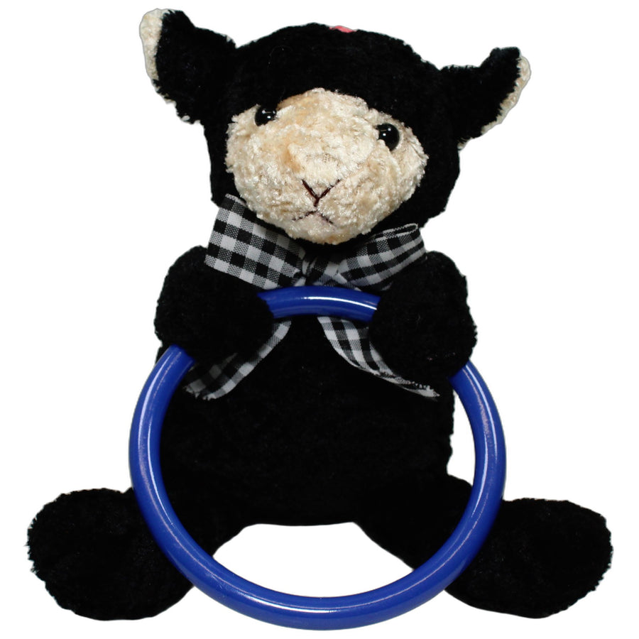Schwarzes Schaf mit blauem Ring