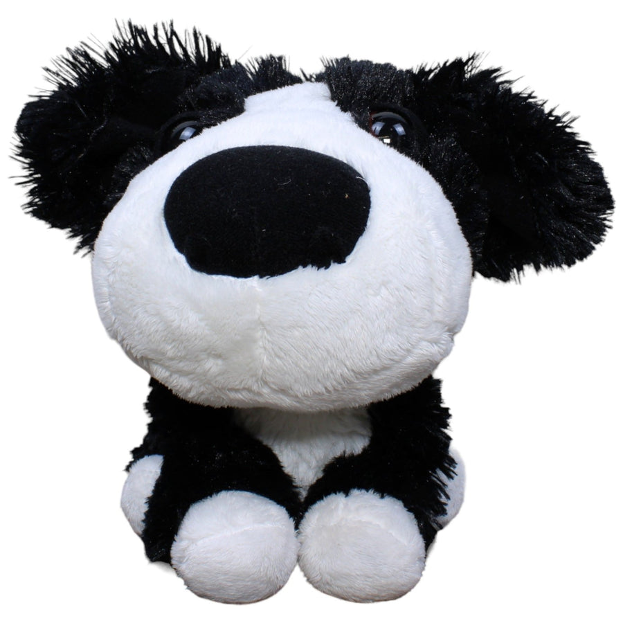 Big Headz, süßer Hund