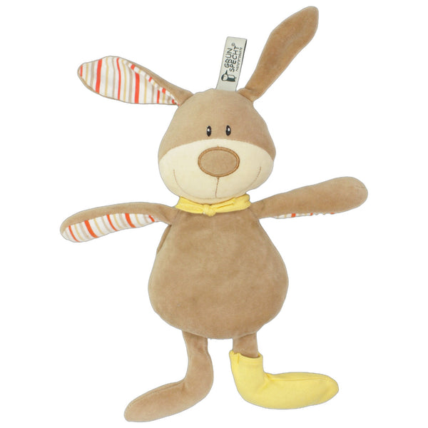 Freundlicher Hase mit Schlappohren