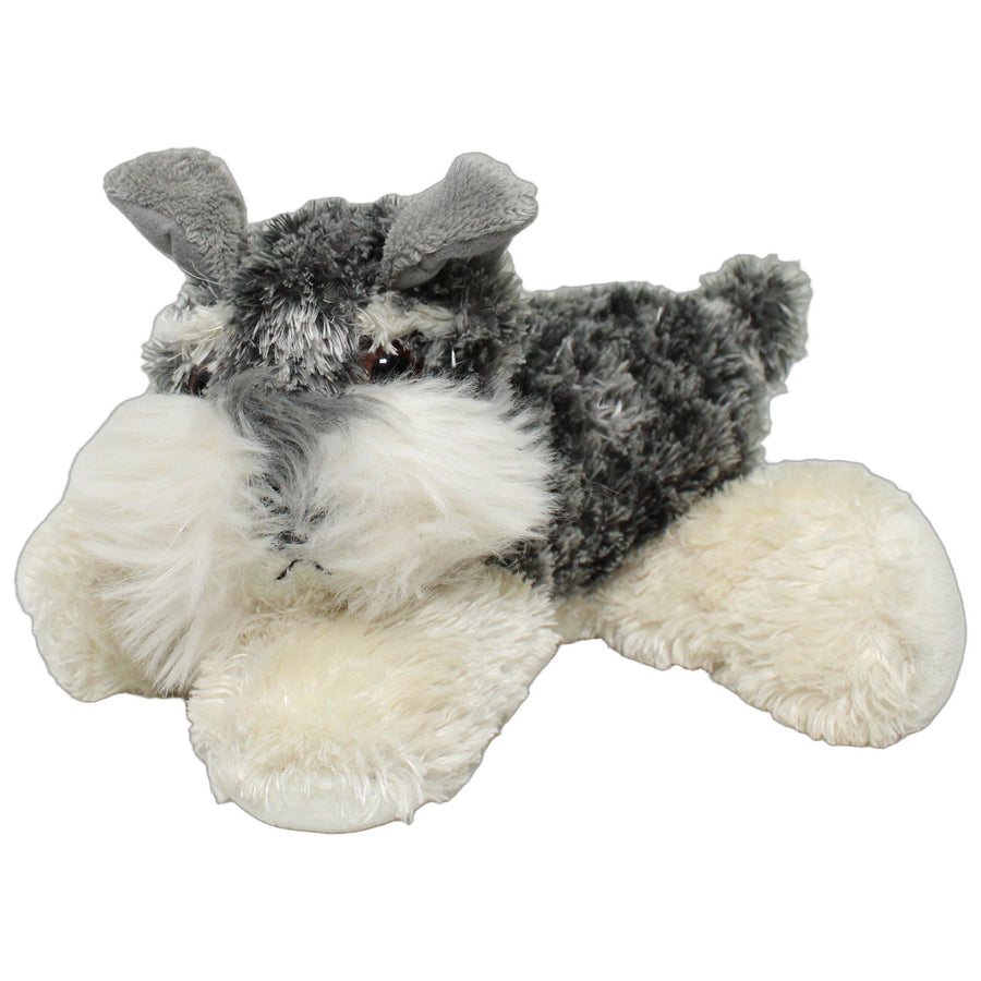 Süßer liegender Schnauzer, grau-weiß