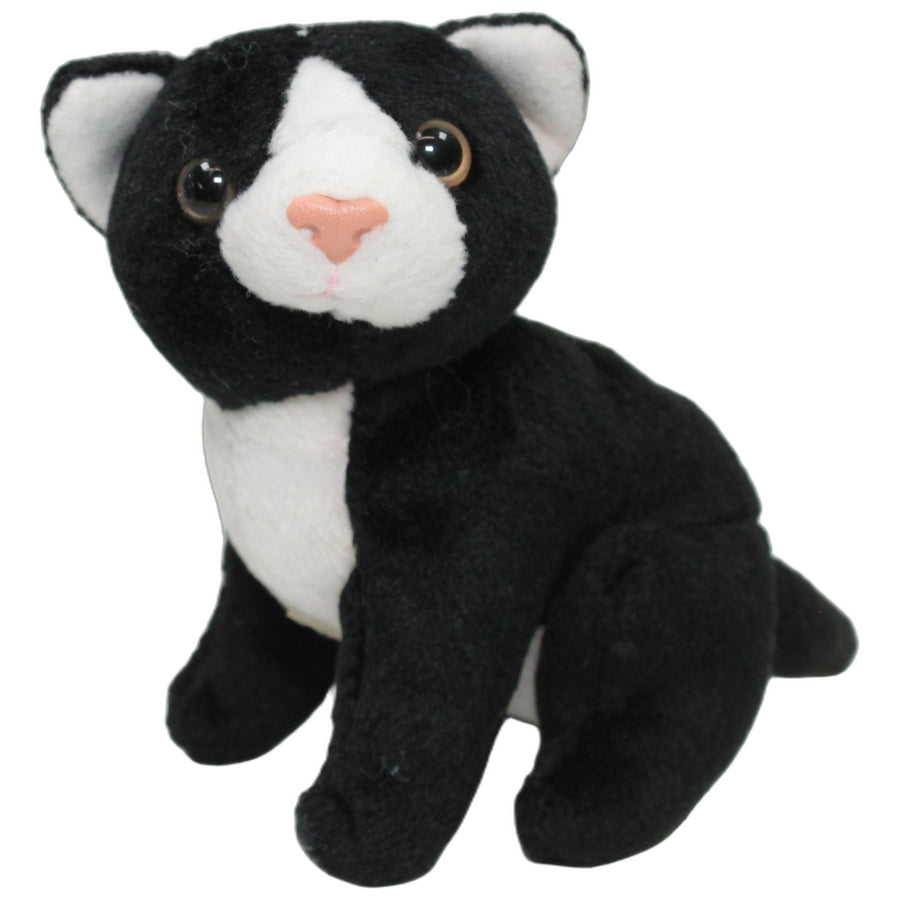 Kleine schwarze-weiße Katze mit Sound