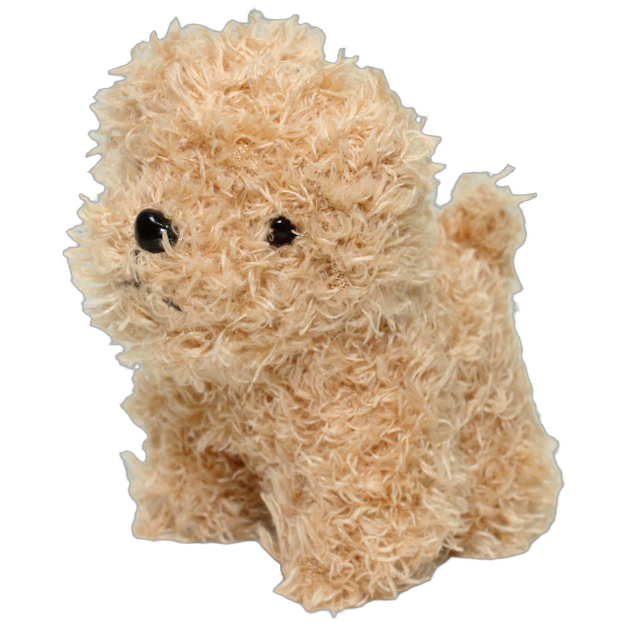 Kleiner zotteliger Hund