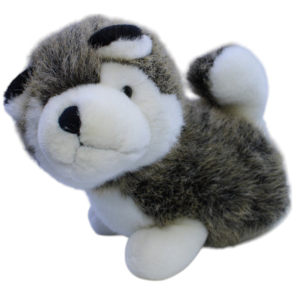 Süßer Husky