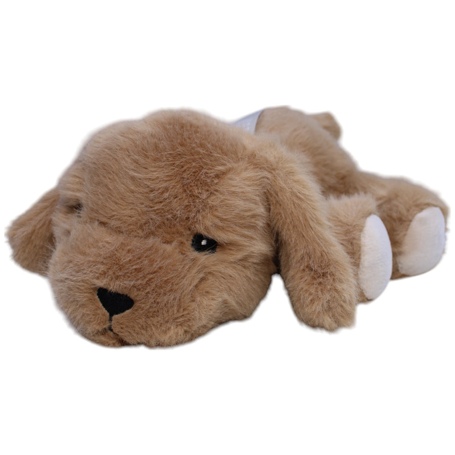 Süßer Hund, liegend