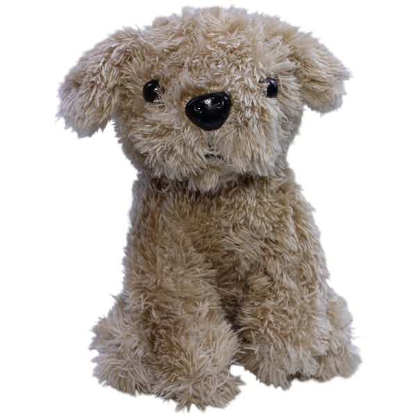 Süßer hellbrauner Zottel-Hund