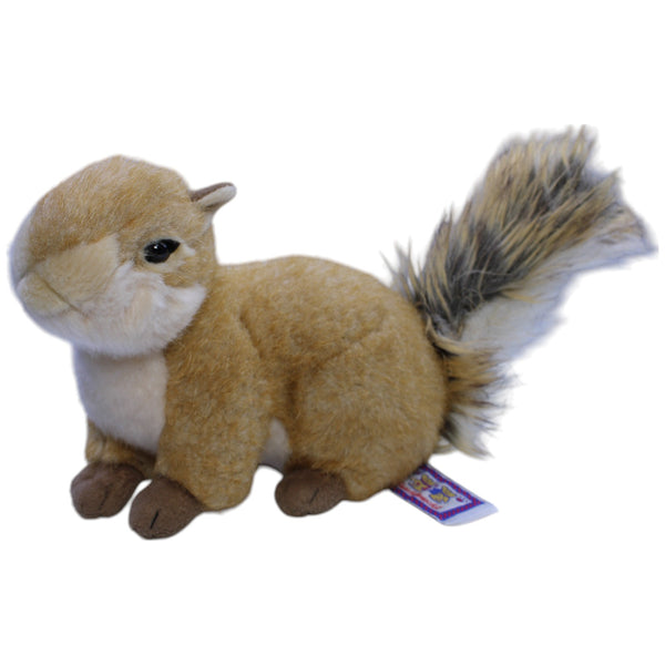 Süßes Eichhörnchen