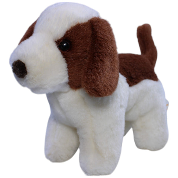 Süßer Basset Hound