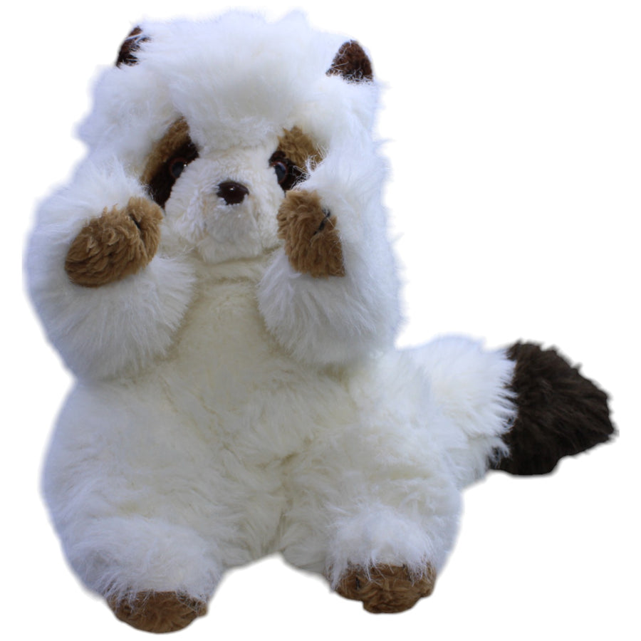 XL Albino Waschbär