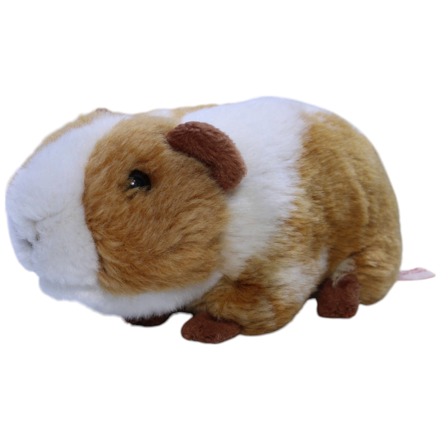 Meerschweinchen, mehrfarbig